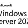 DSP Windows Server Std 2025 64Bit ENG 16 Core, EP2-25187