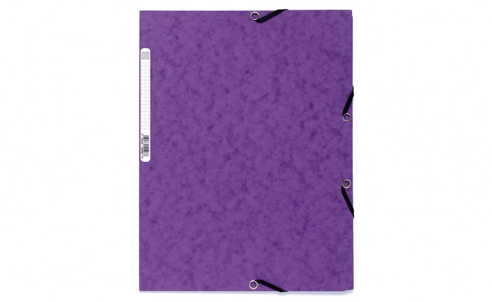 Fascikl klapna s gumicom chartreuse A4 Exacompta 55508E ljubičasti