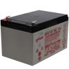 Enersys Hawker AGM Genesis olovna Baterija NP12-12WT 12V 12Ah