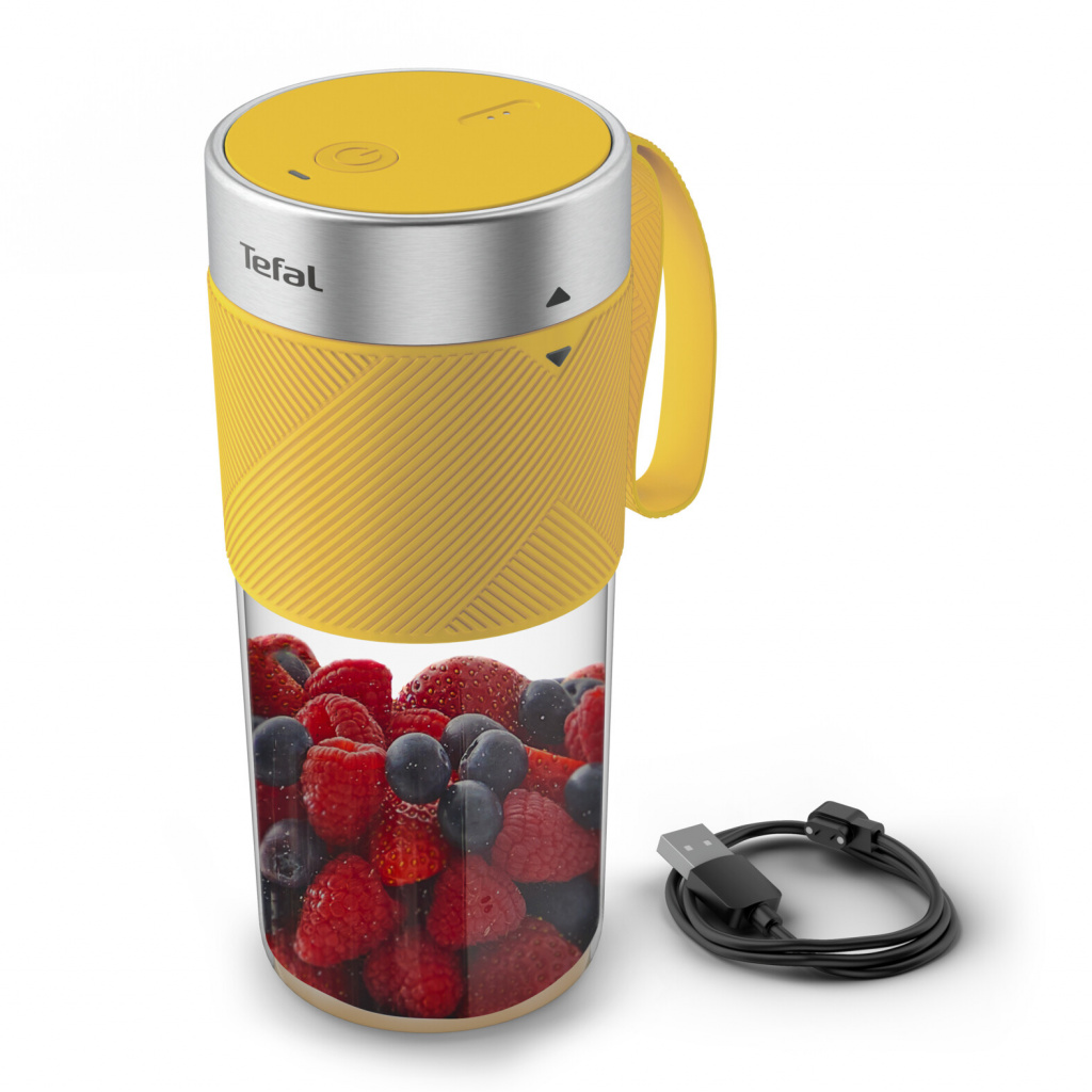 SEB Tefal blender BL1C0230
