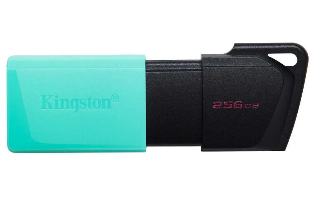 KINGSTON 256GB DataTraveler Exodia M