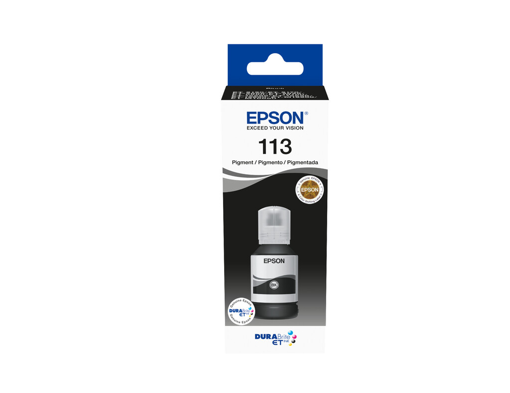 Original Ink bulk in a bottle Black Epson 113 (T06B1, C13T06B140)