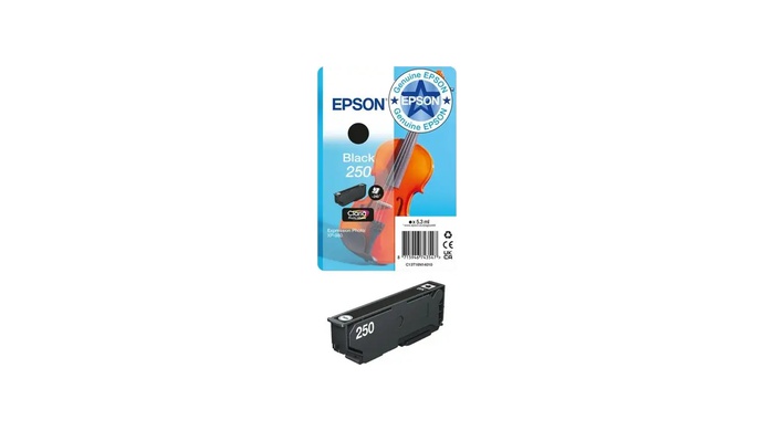Original Ink- Black EPSON 250 T16N1, C13T16N14010