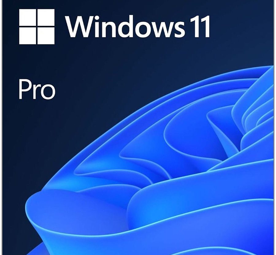 Win 11 Pro 64Bit Croatian 1pk DSP OEI DVD